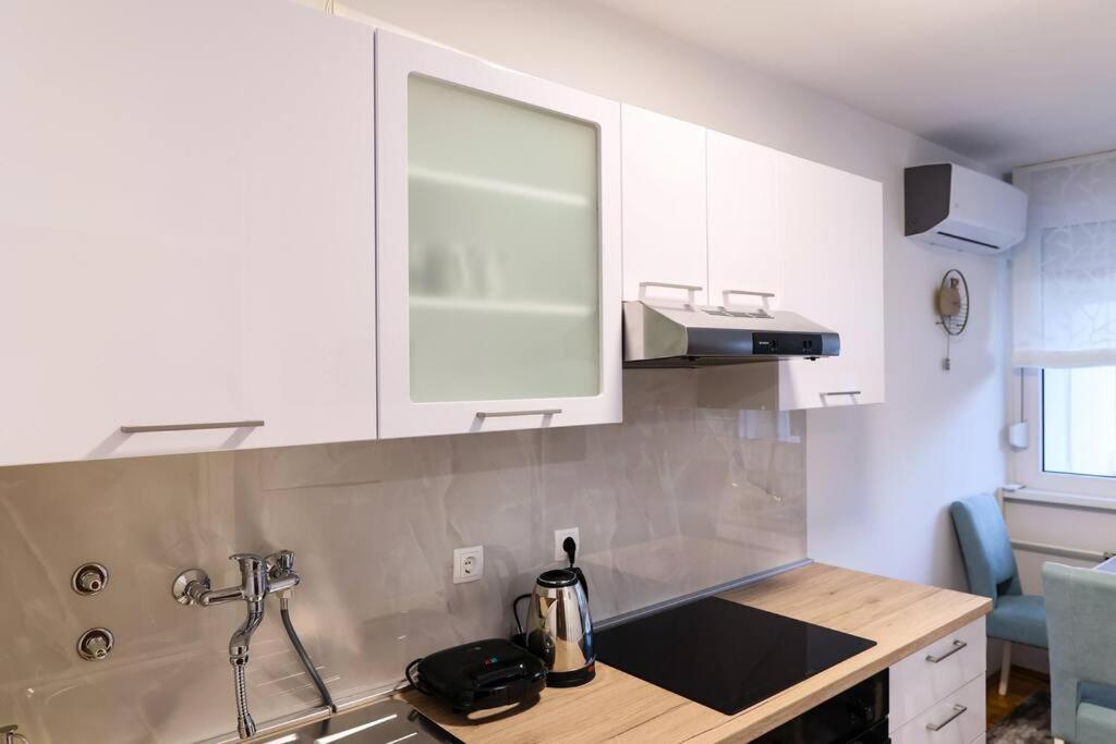 Modern White Oasis, 1bdr Apartment Zagreb